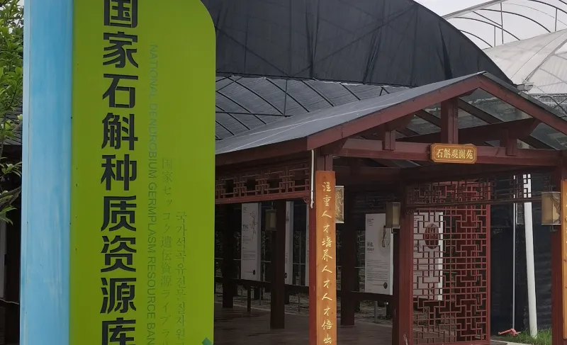 Клиентские фабрики